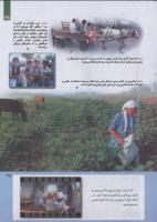 مجله کودک 235 صفحه 35
