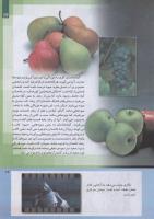 مجله کودک 236 صفحه 17