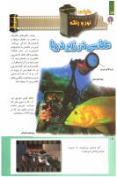 مجله کودک 238 صفحه 14