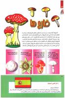 مجله کودک 241 صفحه 14