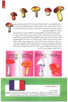 مجله کودک 241 صفحه 15