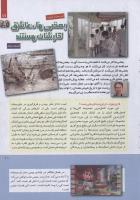مجله کودک 244 صفحه 11
