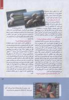 مجله کودک 244 صفحه 13
