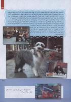مجله کودک 244 صفحه 37