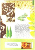 مجله کودک 245 صفحه 4