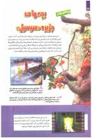 مجله کودک 246 صفحه 34