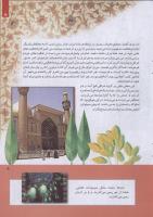 مجله کودک 247 صفحه 5