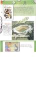 مجله کودک 232 صفحه 27