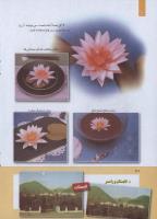 مجله کودک 263 صفحه 20