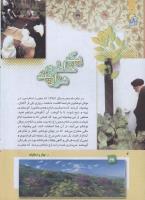 مجله کودک 263 صفحه 4