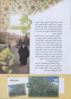 مجله کودک 263 صفحه 5