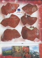 مجله کودک 263 صفحه 44
