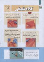 مجله کودک 264 صفحه 18