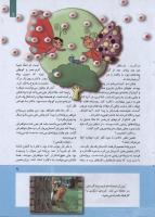 مجله کودک 264 صفحه 9