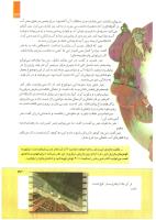 مجله کودک 267 صفحه 33