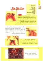 مجله کودک 269 صفحه 18