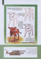 مجله کودک 271 صفحه 35