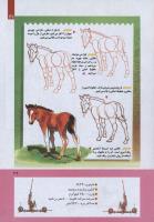 مجله کودک 272 صفحه 29