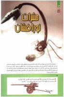 مجله کودک 273 صفحه 14