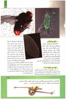 مجله کودک 273 صفحه 15