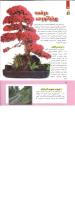 مجله کودک 277 صفحه 16