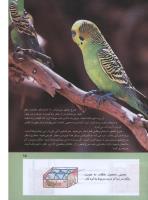 مجله کودک 278 صفحه 15