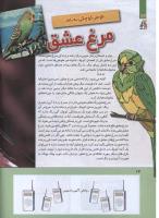 مجله کودک 278 صفحه 14