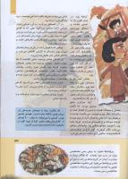 مجله کودک 279 صفحه 33