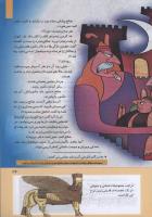 مجله کودک 281 صفحه 17