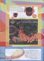 مجله کودک 282 صفحه 35