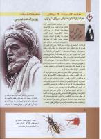 مجله کودک 283 صفحه 16