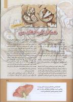 مجله کودک 283 صفحه 31