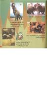 مجله خردسال 3 صفحه 23