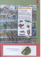 مجله کودک 284 صفحه 36
