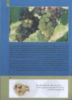 مجله کودک 285 صفحه 15