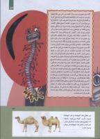مجله کودک 285 صفحه 13