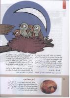 مجله کودک 286 صفحه 28