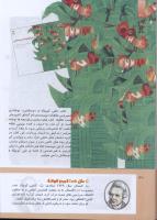 مجله کودک 289 صفحه 30