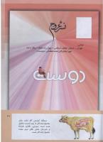 مجله کودک 289 صفحه 41