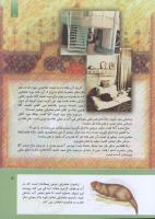 مجله کودک 291 صفحه 5