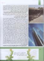 مجله کودک 291 صفحه 14