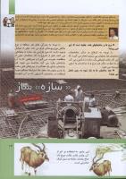 مجله کودک 291 صفحه 13