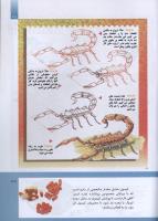 مجله کودک 292 صفحه 39