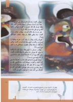 مجله کودک 293 صفحه 11