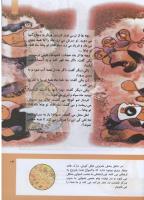 مجله کودک 293 صفحه 13