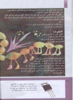 مجله کودک 294 صفحه 34