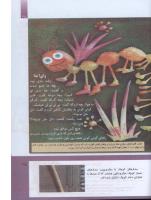 مجله کودک 294 صفحه 35
