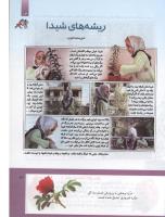 مجله کودک 297 صفحه 13