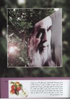 مجله کودک 297 صفحه 43