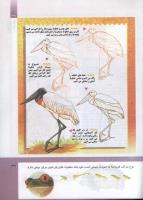 مجله کودک 297 صفحه 39
